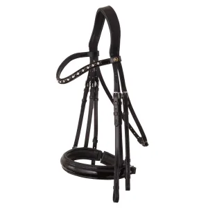 BR Wendover Weymouth Bridle