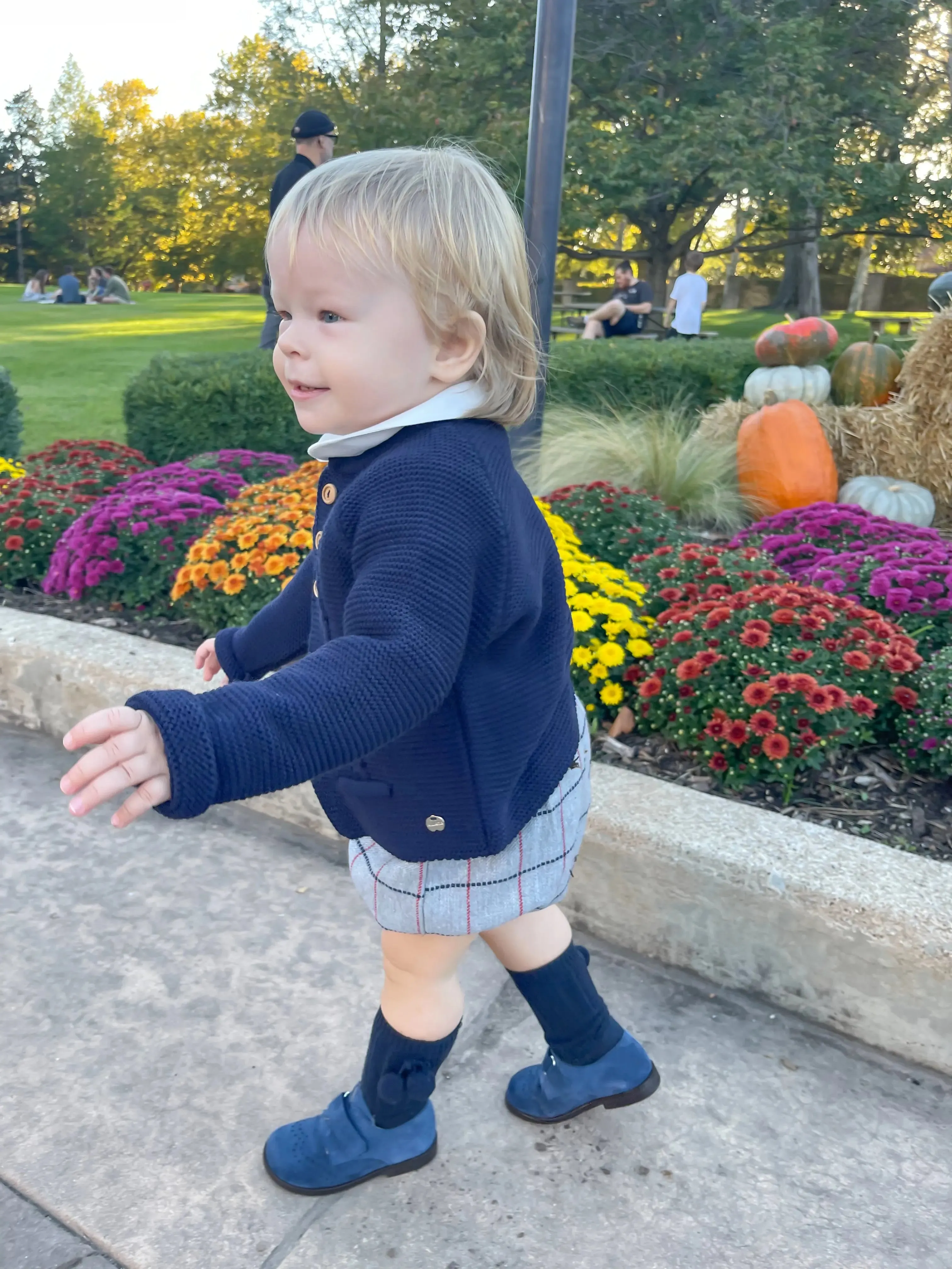 Christian- Navy Suede Boy Dress Shoes