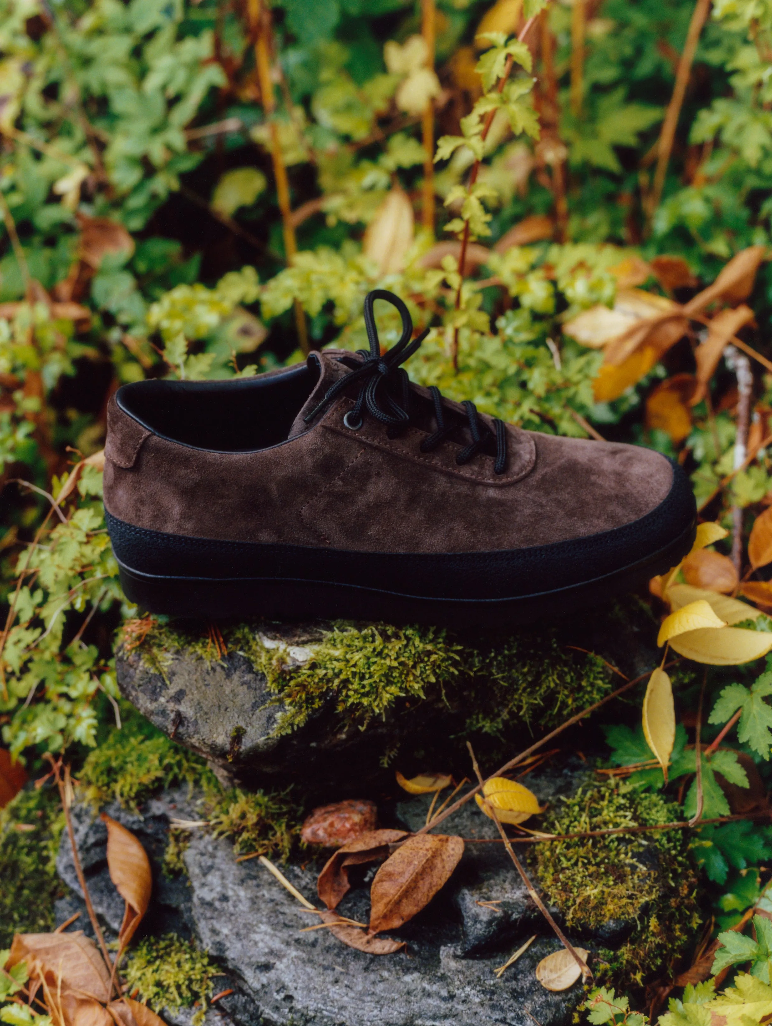 Explorer - Dark Brown Suede