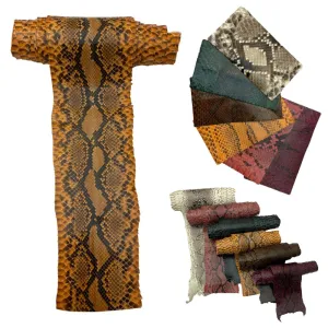 Large Exotic Python Snakeskin - Black & White - Green - Brown - Orange - Rose - Wine