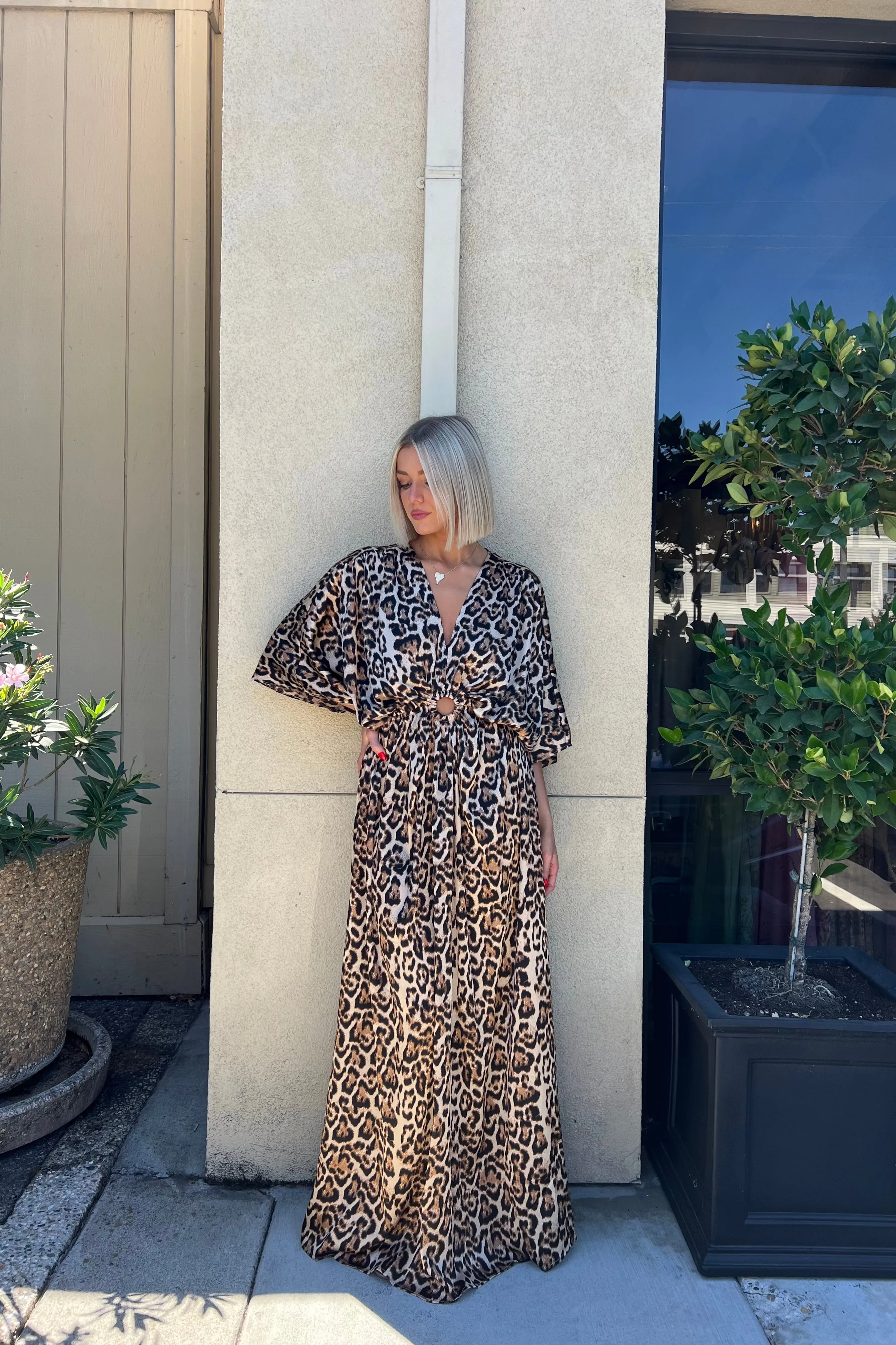 LIANE ANIMAL PRINT DRESS